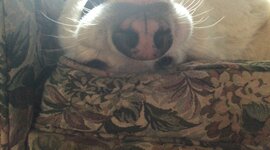 Timeline: 3 period timeline