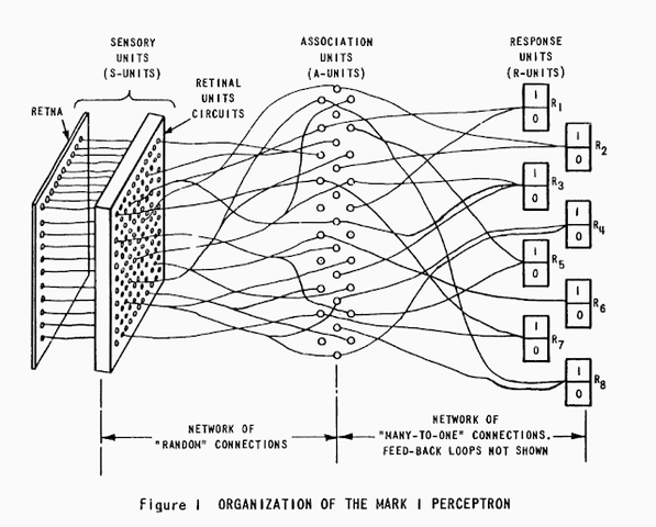 Rosenblatt: Perceptrón