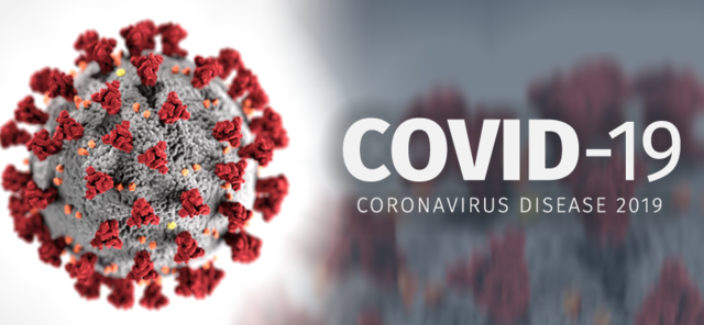 Epidemija Covid 19