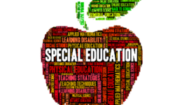Timeline: The History of Special Education in the U.S.A