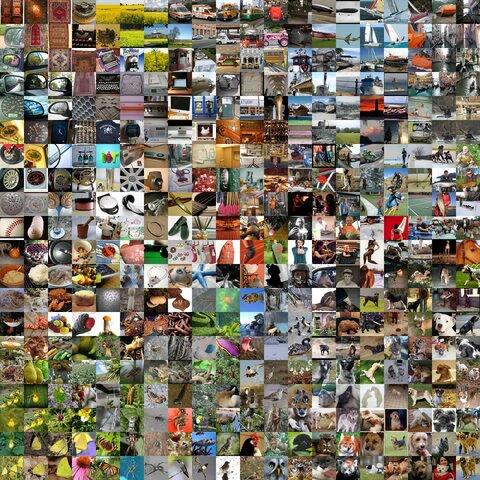 ImageNET Base de Datos de Imagenes