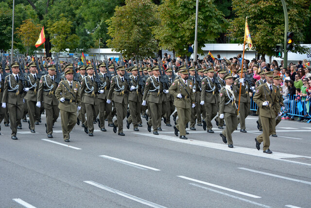 Profesionalización de las Fuerzas Armadas