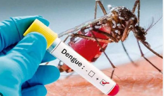 PRIMER CASO DE DENGUE