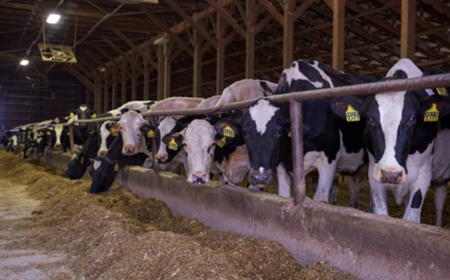 Digester partnership announced