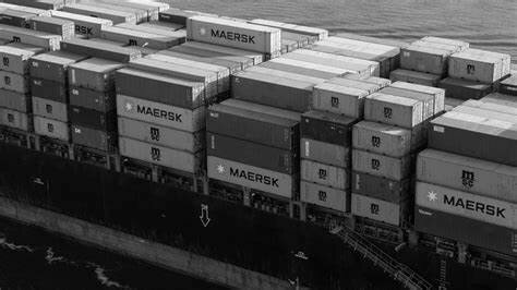 Sistema de licencias y de prohibiciones de importación