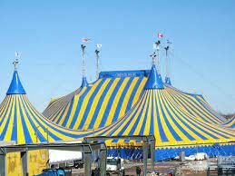 El circo contemporáneo