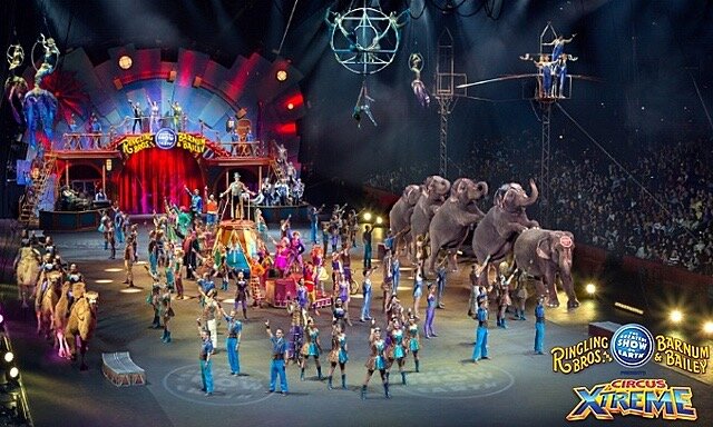 Cirkus cirkor de Suecia