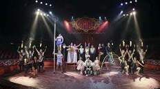 El circo actualmente