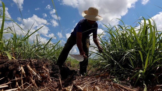Crisis económica en Cuba