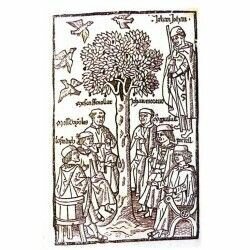 Lo procés de les olives