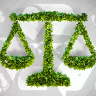 Timeline: Environmental Laws, Agencies, and Treaties- Cady Kiebort