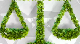 Timeline: Environmental Laws, Agencies, and Treaties- Cady Kiebort