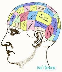 ELKIN-CONOCIMIENTO TÁCTICO