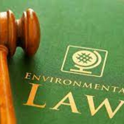Timeline: Greta Shkodra Environmental Laws, Agencies, and Treatments timeline