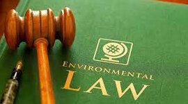 Timeline: Greta Shkodra Environmental Laws, Agencies, and Treatments timeline