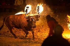1º festejo - Toro de fuego