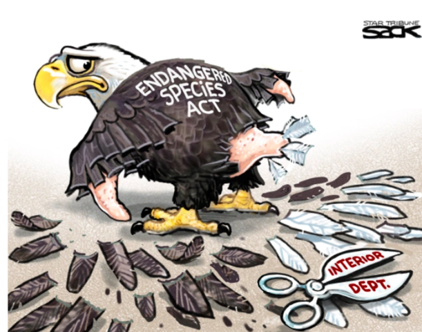 Endangered Species Act