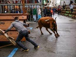 3º festejo- Bous al carrer