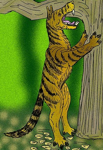 Sinonyx - 60 million