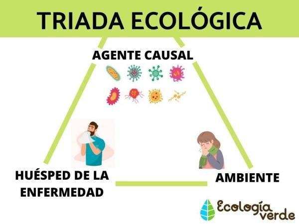Triada Ecológica