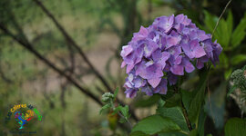 Timeline: etapas de la historia de la humanidasd