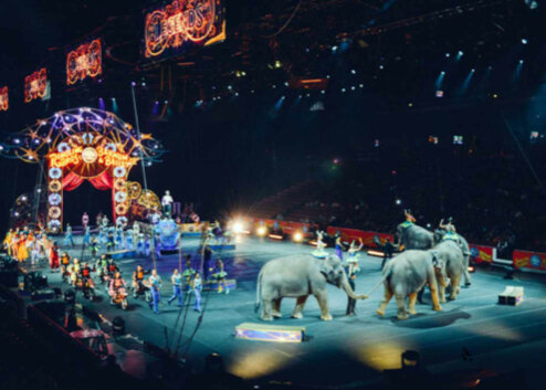EL CIRCO MÁS FAMOSO DEL MUNDO ACTUALMENTE
