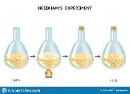 Needham's Experiment