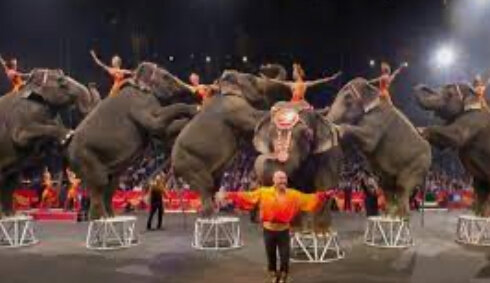 LOS PRIMEROS ANIMALES DEL CIRCO MODERNO