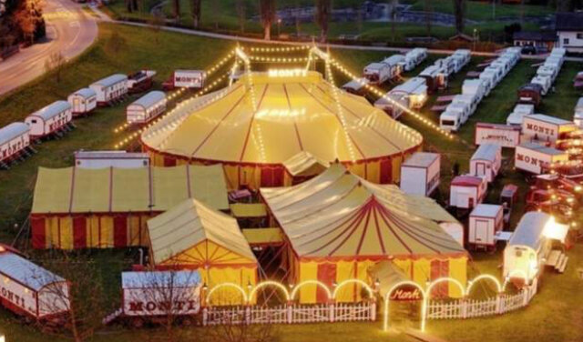 ¿CÓMO SON LAS CARPAS EN LA ACTUALIDAD?