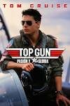 Top gun pasion por la gloria