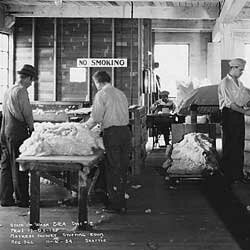 The Federal Emergency Relief Act created more federal jobs.