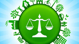 Timeline: Environmental Laws, Agencies, and Treaties - Lexie Conte