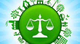 Timeline: Environmental Legislation - Faith Fuqua