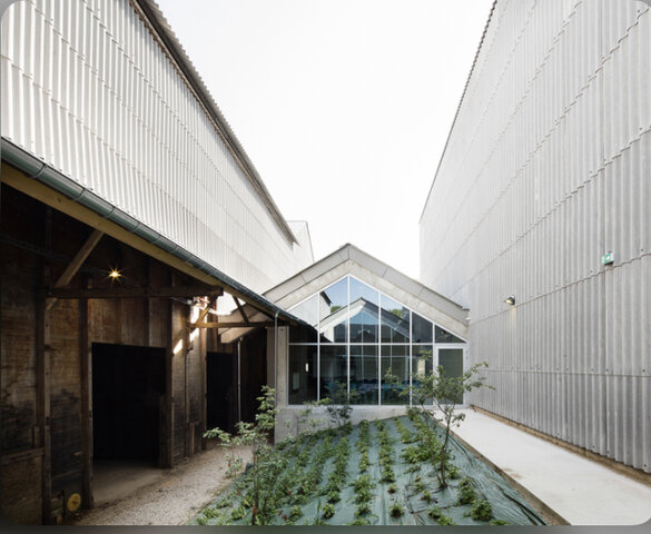 Se crea el Centro Nacional de Artes del Circo