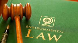 Timeline: Environmental Laws, Agencies, and Treaties- Lucas Fuimano