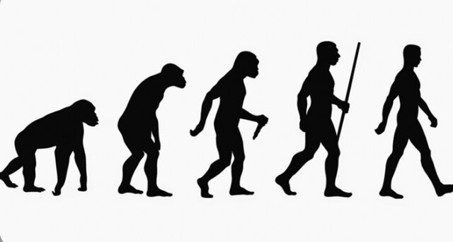 Evolución