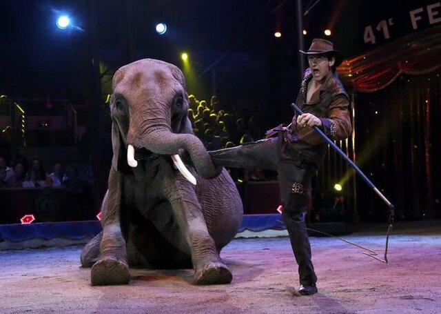 Integración y normalizacion.