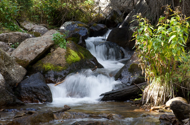 Clean Water Act