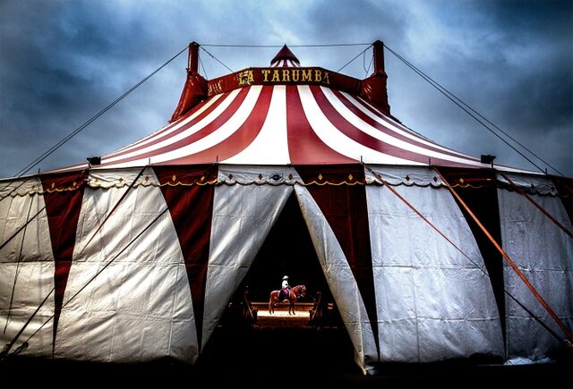 Carpas perfeccionadas.