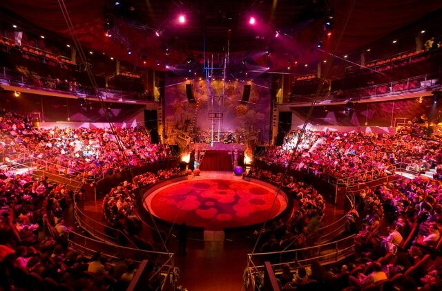 Salto a la fama del circo.