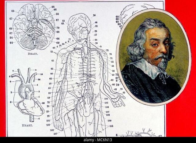 Descobriment de la circulacio.