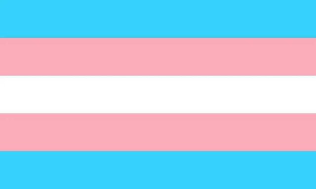Ley 4/2023, de 28 de febrero, para la igualdad real y efectiva de las personas trans y para la garantía de los derechos de las personas LGTBI