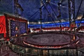 Aparición anillos y plataformas.