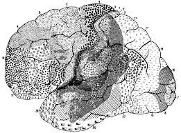 Estimulación eléctrica cerebral