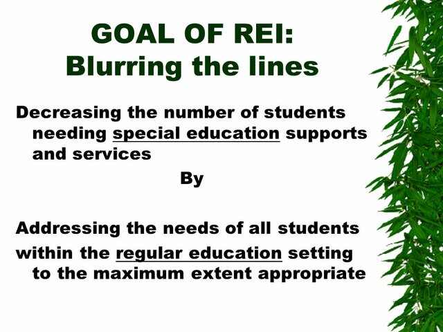 Regular Education Initiative (REI)
