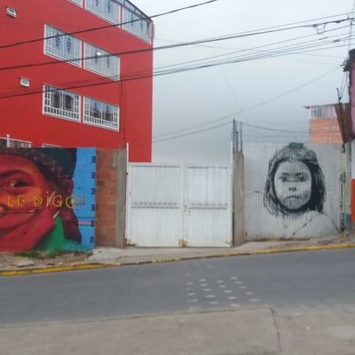 Timeline: Nuevas Subjetividades Bogotá Pandemia Covid 19