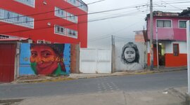 Timeline: Nuevas Subjetividades Bogotá Pandemia Covid 19