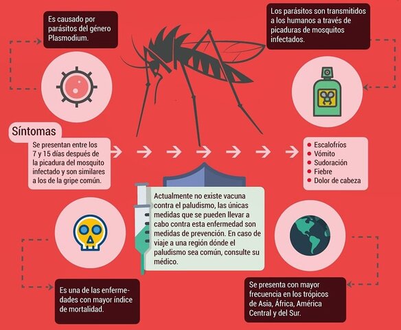 A erradicar el paludismo, se emplearon 2 métodos principales el antilarvario y el de erradicación.