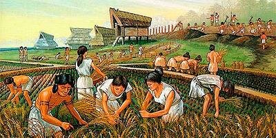 Nacimiento de la Ingeniería