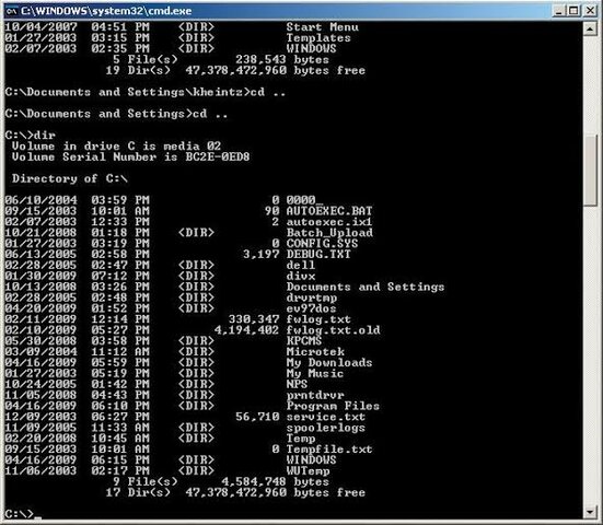 MS-DOS (Microsoft Disk Operating System)